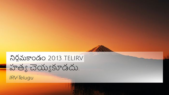 నిర్గమకాండం 20:13 TELIRV Bible Verse Image