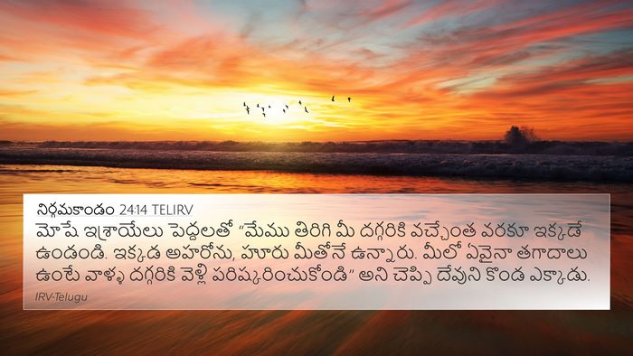 నిర్గమకాండం 24:14 TELIRV Bible Verse Image