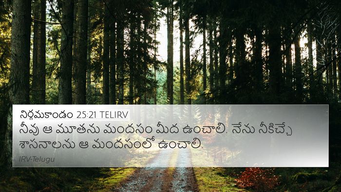 నిర్గమకాండం 25:21 TELIRV Bible Verse Image