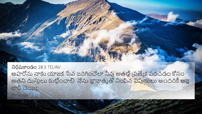 నిర్గమకాండం 28:3 TELIRV Bible Verse Image