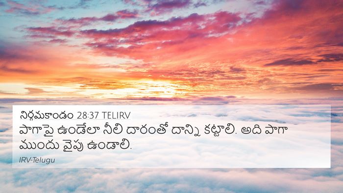 నిర్గమకాండం 28:37 TELIRV Bible Verse Image