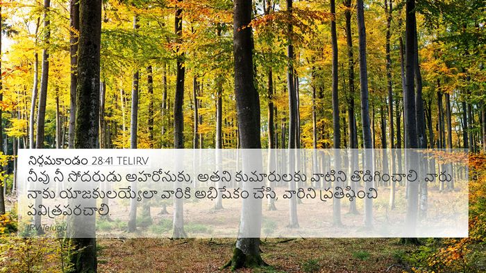 నిర్గమకాండం 28:41 TELIRV Bible Verse Image