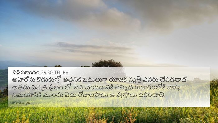 నిర్గమకాండం 29:30 TELIRV Bible Verse Image
