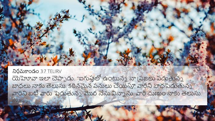 నిర్గమకాండం 3:7 TELIRV Bible Verse Image