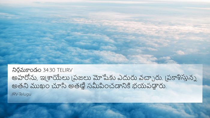 నిర్గమకాండం 34:30 TELIRV Bible Verse Image