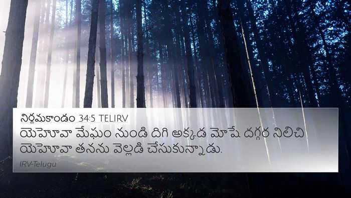 నిర్గమకాండం 34:5 TELIRV Bible Verse Image