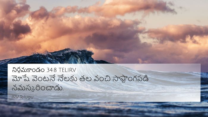 నిర్గమకాండం 34:8 TELIRV Bible Verse Image