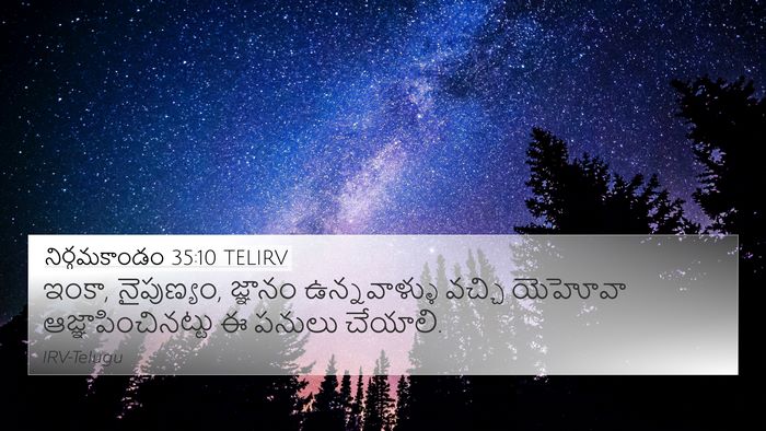 నిర్గమకాండం 35:10 TELIRV Bible Verse Image