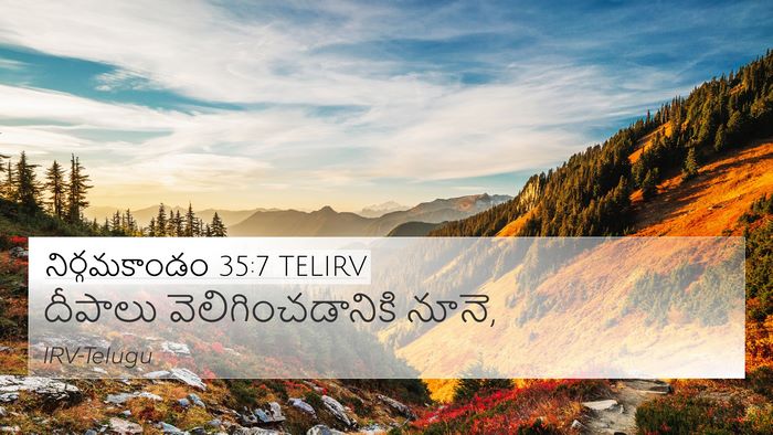 నిర్గమకాండం 35:7 TELIRV Bible Verse Image