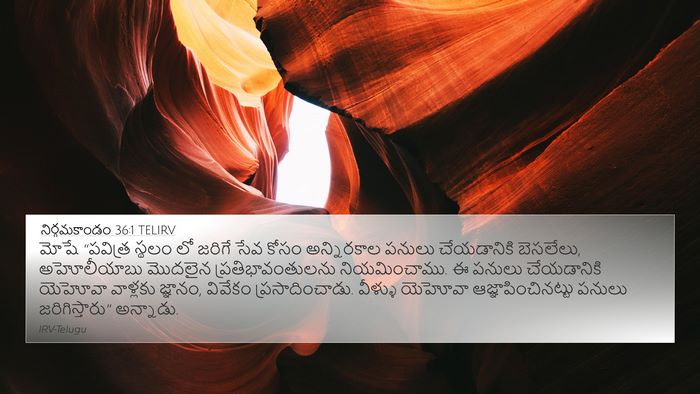 నిర్గమకాండం 36:1 TELIRV Bible Verse Image