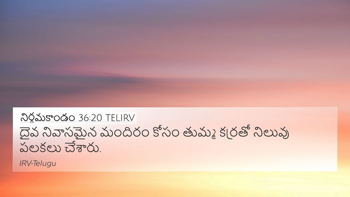 నిర్గమకాండం 36:20 TELIRV Bible Verse Image