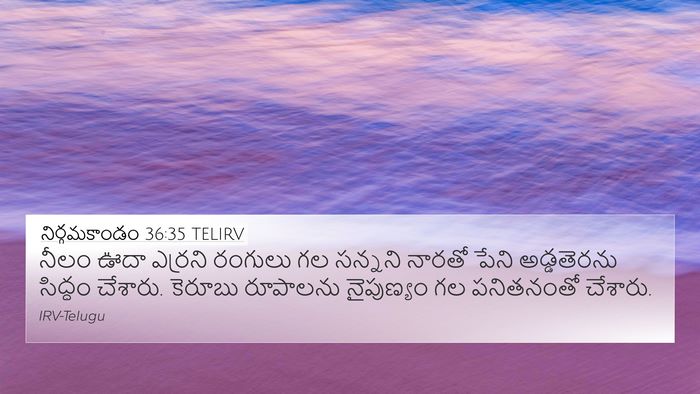నిర్గమకాండం 36:35 TELIRV Bible Verse Image