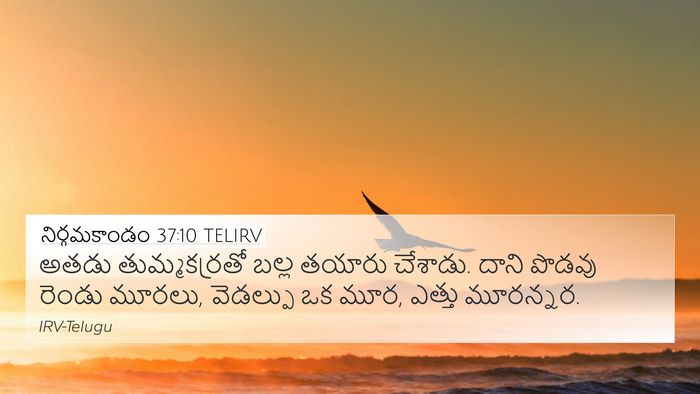 నిర్గమకాండం 37:10 TELIRV Bible Verse Image