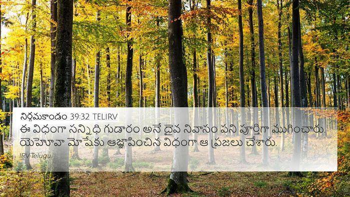 నిర్గమకాండం 39:32 TELIRV Bible Verse Image