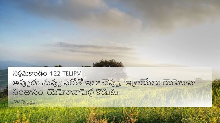నిర్గమకాండం 4:22 TELIRV Bible Verse Image