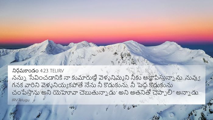 నిర్గమకాండం 4:23 TELIRV Bible Verse Image