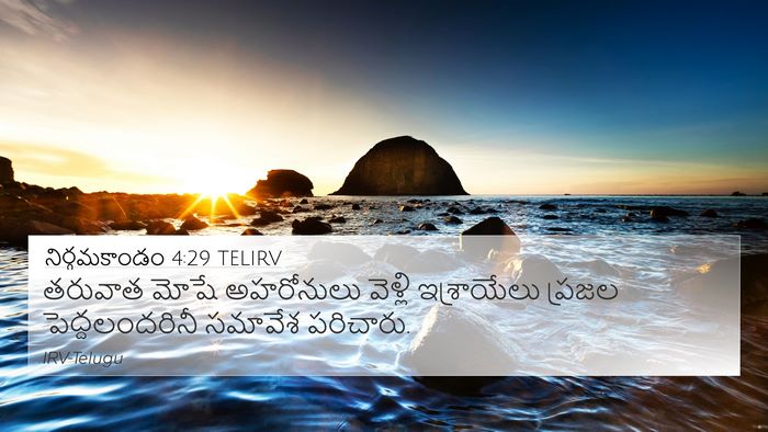 నిర్గమకాండం 4:29 TELIRV Bible Verse Image