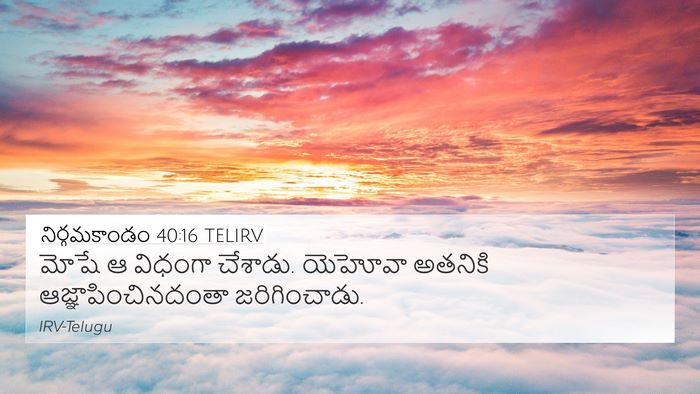 నిర్గమకాండం 40:16 TELIRV Bible Verse Image