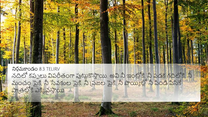 నిర్గమకాండం 8:3 TELIRV Bible Verse Image
