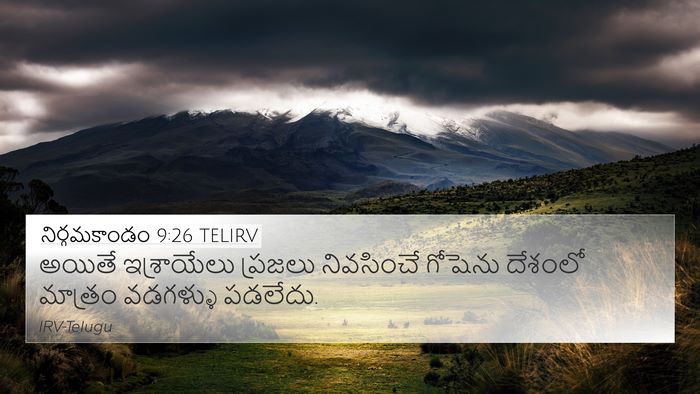 నిర్గమకాండం 9:26 TELIRV Bible Verse Image