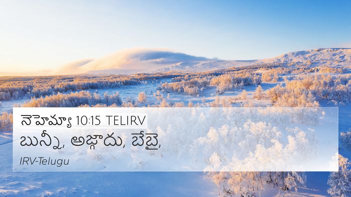 నెహెమ్యా 10:15 TELIRV Bible Verse Image