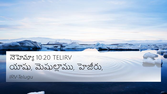 నెహెమ్యా 10:20 TELIRV Bible Verse Image