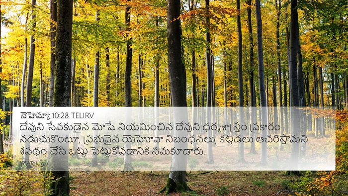 నెహెమ్యా 10:28 TELIRV Bible Verse Image