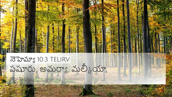 నెహెమ్యా 10:3 TELIRV 4K Wallpaper - పషూరు, అమర్యా, - 4K Wallpaper Bible Verse