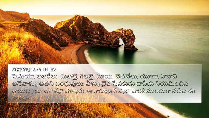 నెహెమ్యా 12:36 TELIRV Bible Verse Image