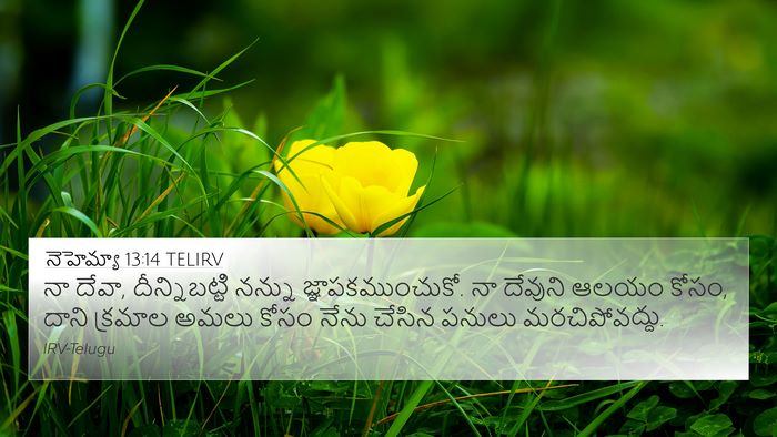 నెహెమ్యా 13:14 TELIRV Bible Verse Image