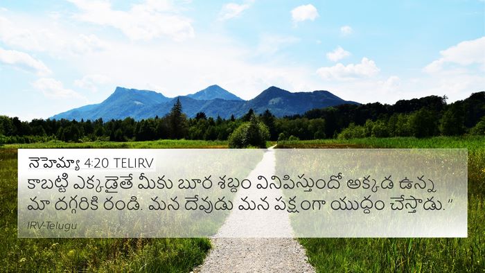 నెహెమ్యా 4:20 TELIRV Bible Verse Image