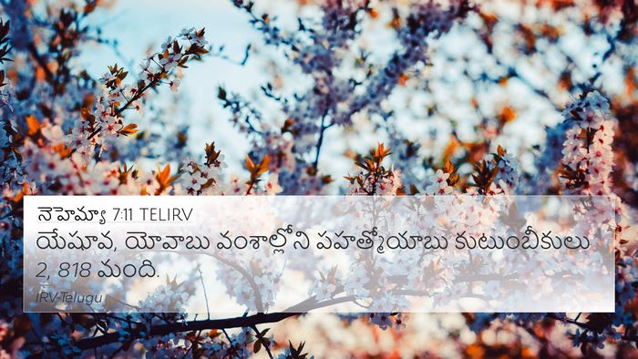 నెహెమ్యా 7:11 TELIRV 4K Wallpaper - యేషూవ, యోవాబు - 4K Wallpaper Bible Verse