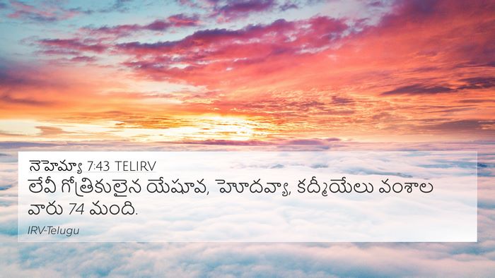 నెహెమ్యా 7:43 TELIRV Bible Verse Image