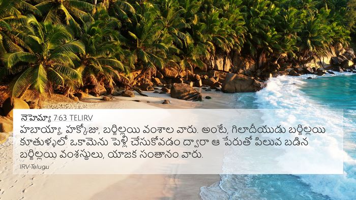 నెహెమ్యా 7:63 TELIRV Bible Verse Image