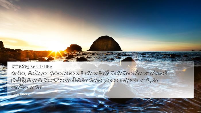 నెహెమ్యా 7:65 TELIRV Bible Verse Image