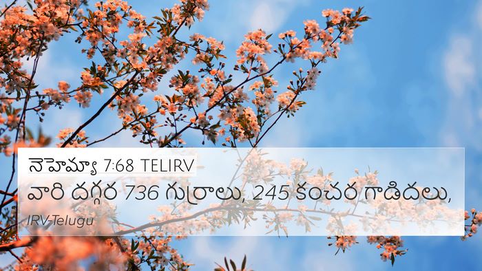నెహెమ్యా 7:68 TELIRV 4K Wallpaper - వారి దగ్గర 736 - 4K Wallpaper Bible Verse