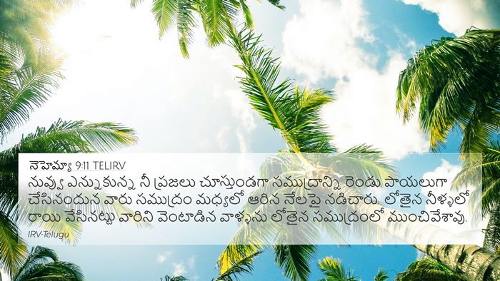 నెహెమ్యా 9:11 TELIRV Bible Verse Image
