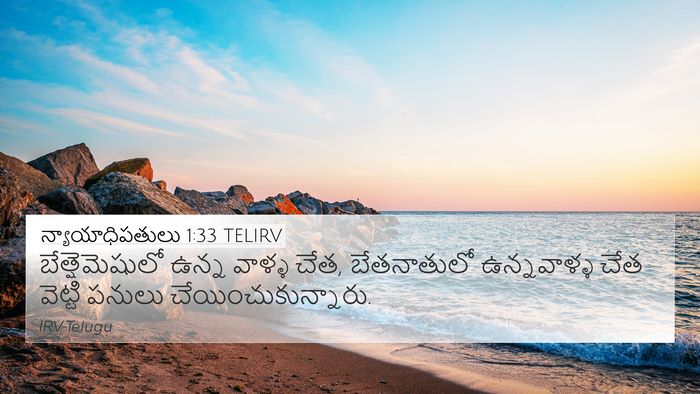 న్యాయాధిపతులు 1:33 TELIRV Bible Verse Image