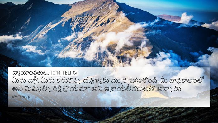 న్యాయాధిపతులు 10:14 TELIRV Bible Verse Image