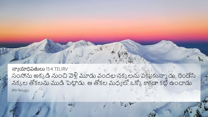 న్యాయాధిపతులు 15:4 TELIRV Bible Verse Image