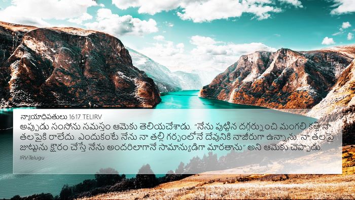 న్యాయాధిపతులు 16:17 TELIRV Bible Verse Image