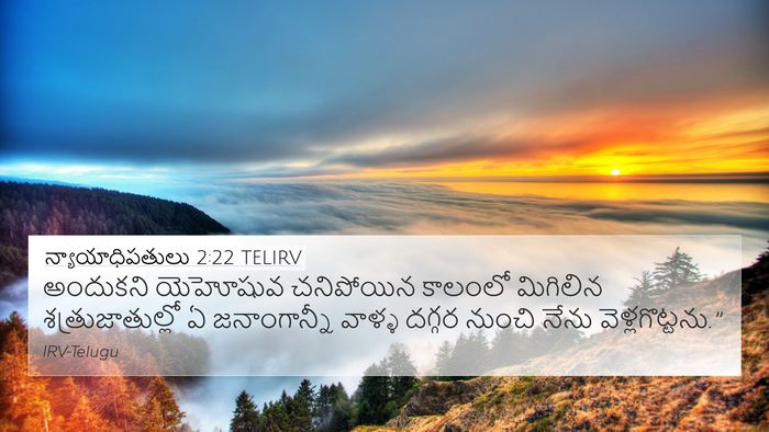న్యాయాధిపతులు 2:22 TELIRV Bible Verse Image