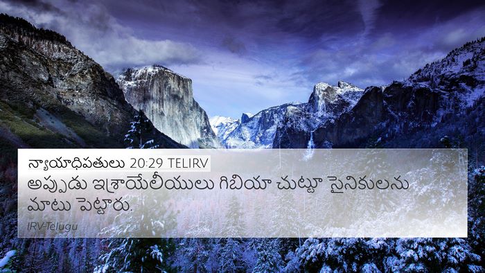 న్యాయాధిపతులు 20:29 TELIRV Bible Verse Image