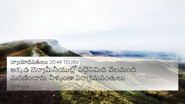 న్యాయాధిపతులు 20:44 TELIRV Bible Verse Image