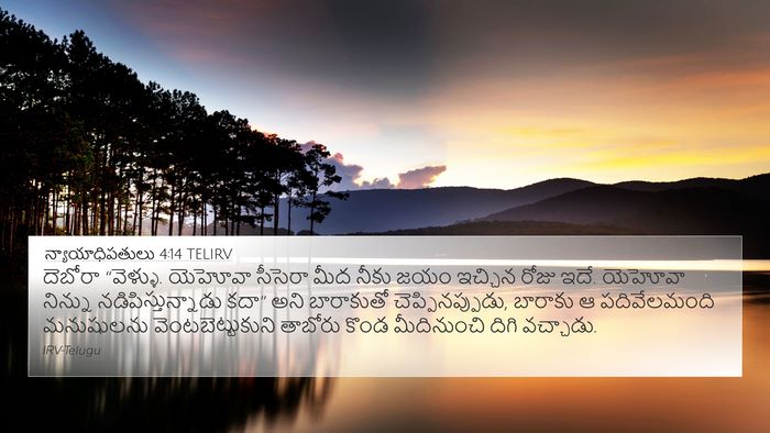 న్యాయాధిపతులు 4:14 TELIRV Bible Verse Image