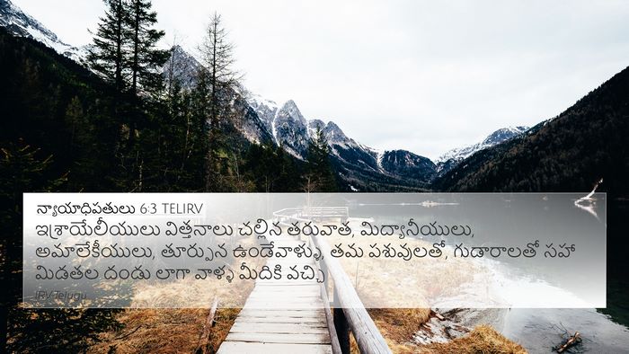 న్యాయాధిపతులు 6:3 TELIRV Bible Verse Image