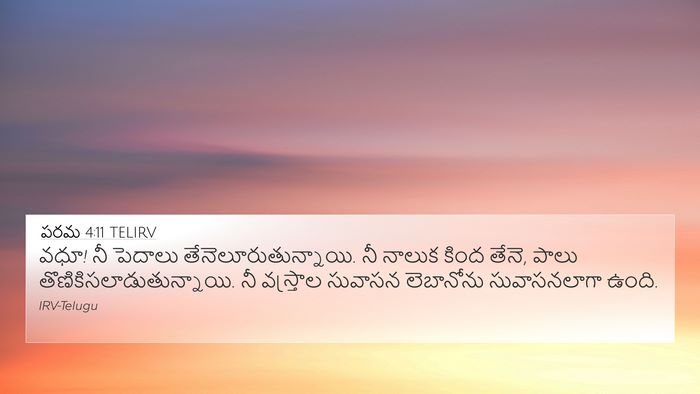 పరమ 4:11 TELIRV Bible Verse Image