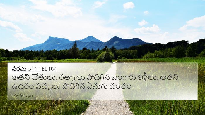 పరమ 5:14 TELIRV Bible Verse Image