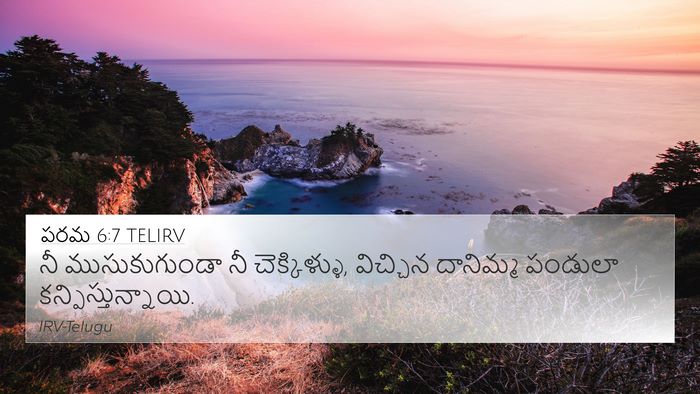 పరమ 6:7 TELIRV Bible Verse Image
