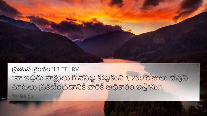 ప్రకటన గ్రంథం 11:3 TELIRV Bible Verse Image